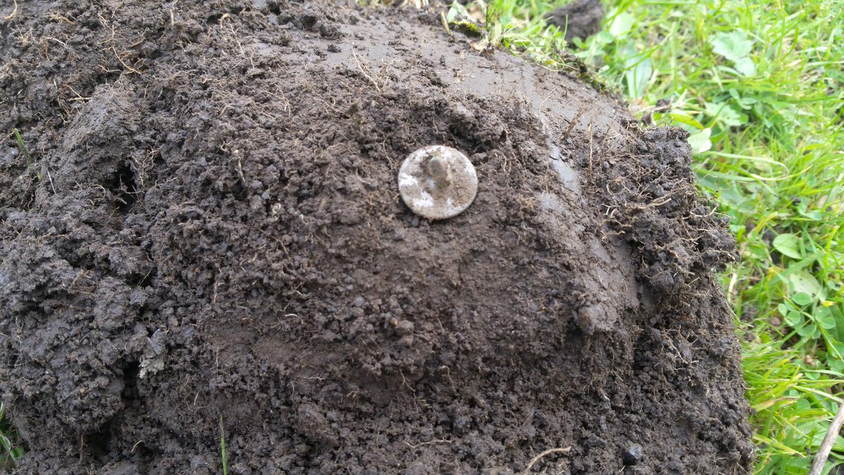 TimeDiggers's tweet image. 