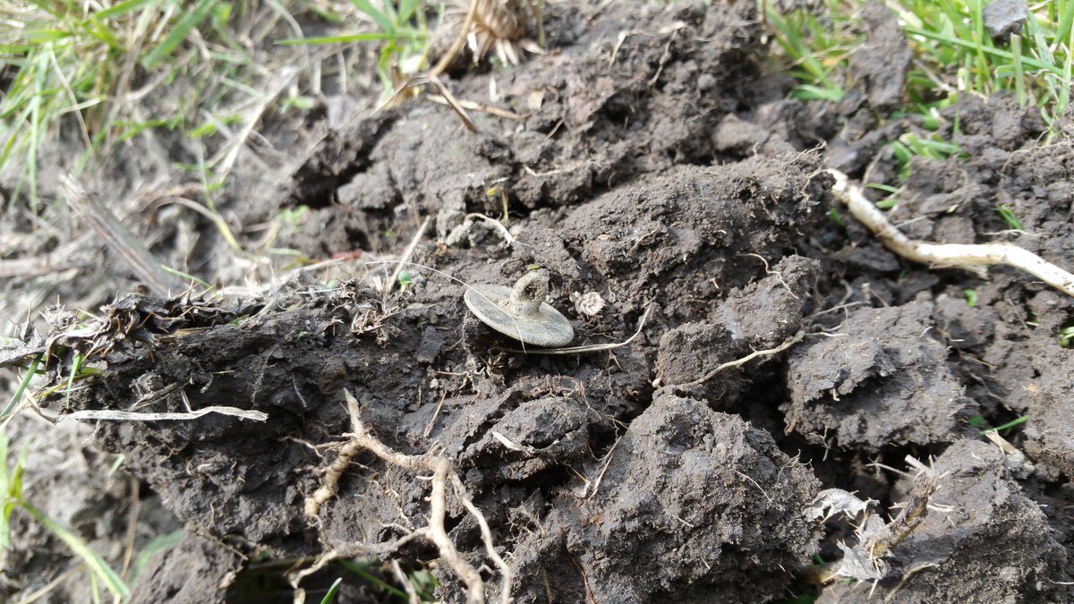 TimeDiggers's tweet image. 