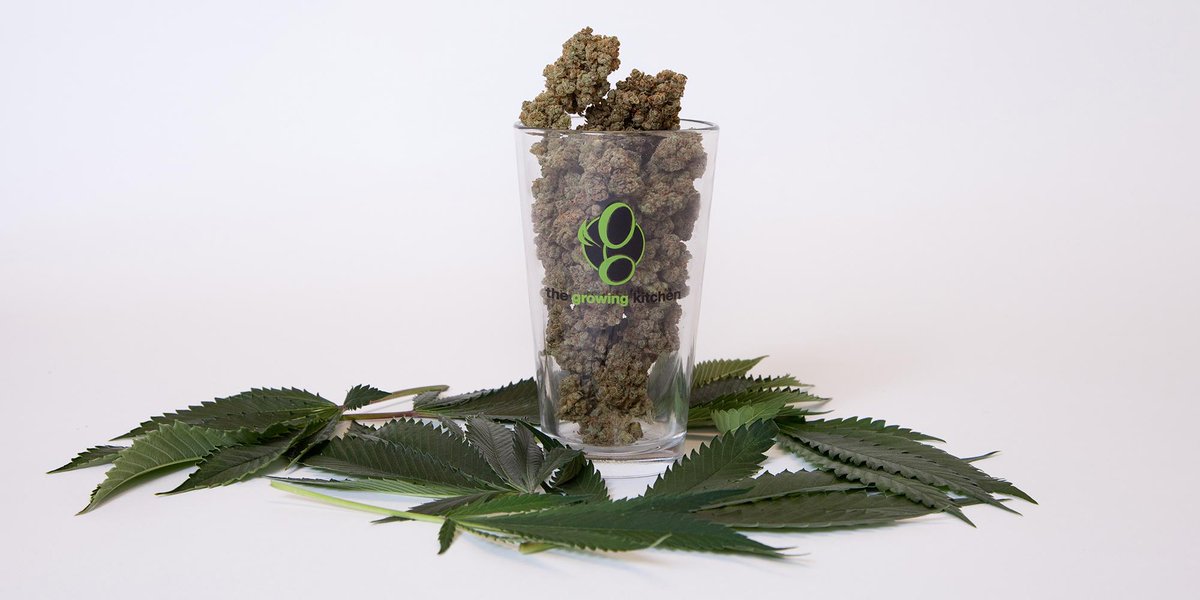 GrowingKitchen's tweet photo. We grow all our own #cannabis so we can be sure our products are 100% #pesticidefree. #highstandards #labverified http://t.co/TsCHLDpNll