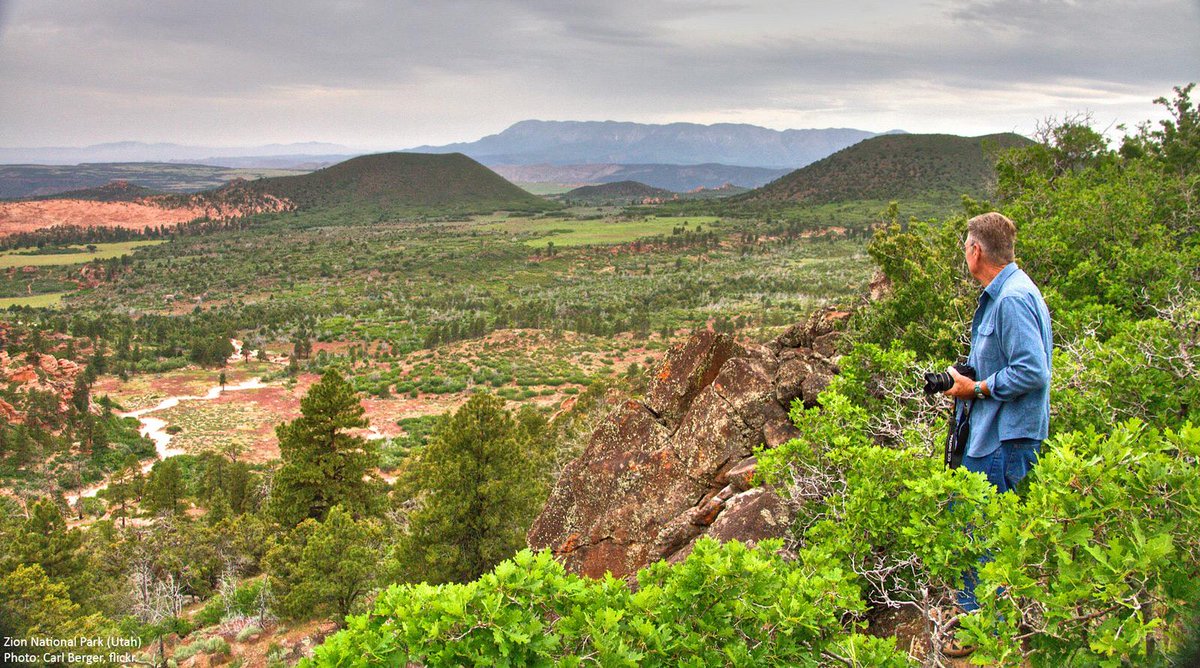Wilderness's tweet photo. Pulitzer-winning scientist explains why experiencing nature is good for your mind: http://t.co/Idlr8OdKDO http://t.co/ZMDEaRHSdm