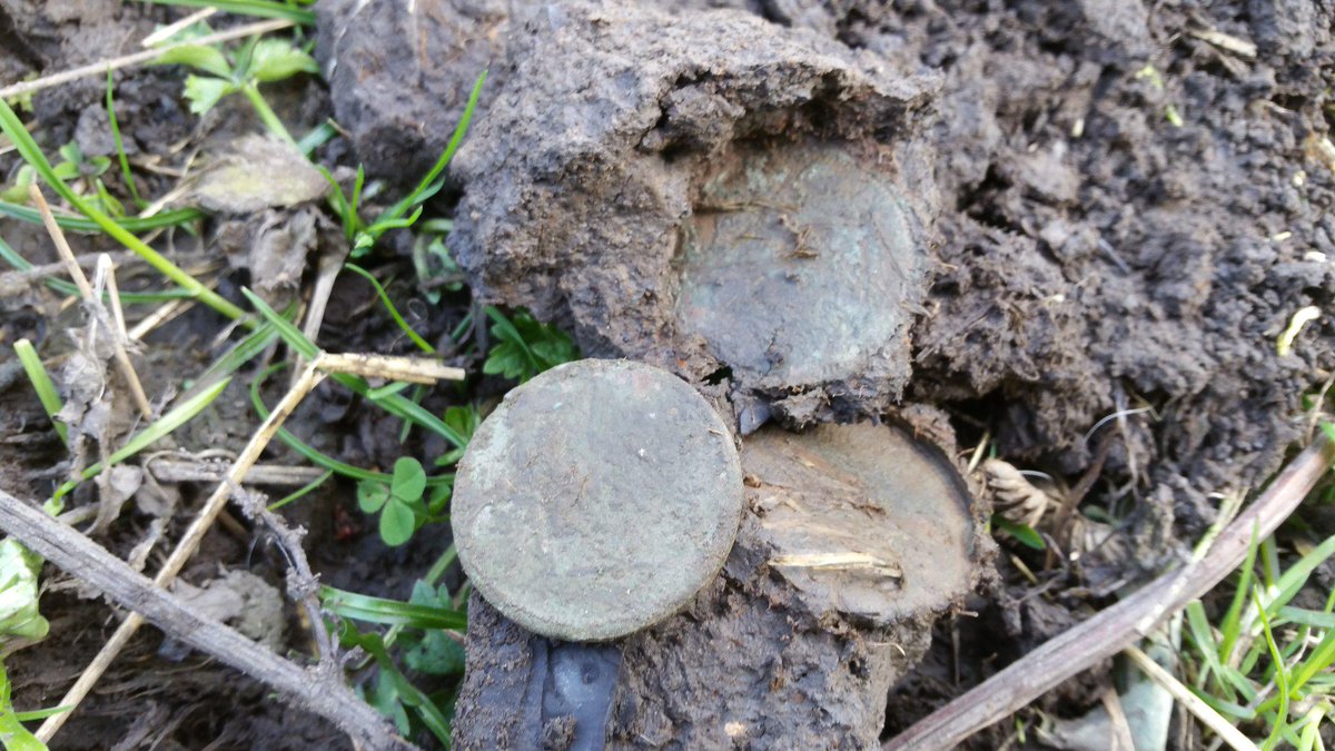 TimeDiggers's tweet image. 