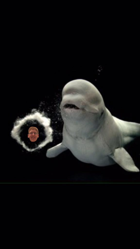 Happy bday to my boy hope ur as happy as Gilbert at the Fair, Joel Dunking, Paul Pierce, and a Beluga Whale 