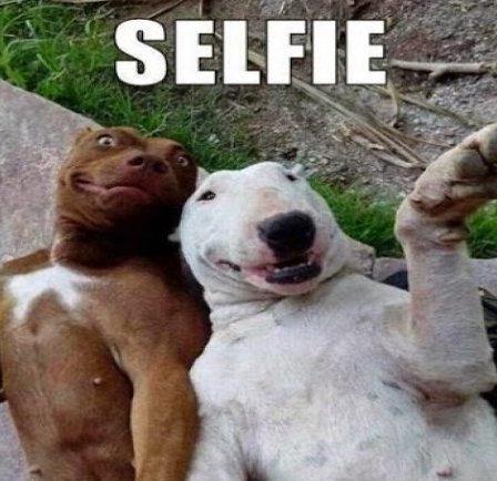 redDiez's tweet photo. Bruno ponte para la “selfie” http://t.co/M1QI9QbXcW