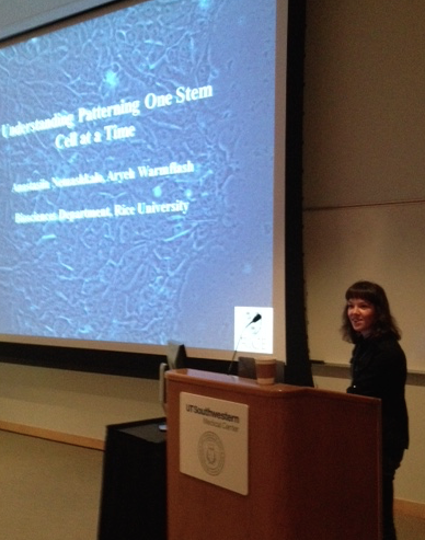 SDB_SW_Meet2015's tweet photo. Anastasiia Nemashkalo, postdoc at Rice examines paracrine signaling between ES cells. BMP4 suppresses pluripotency. http://t.co/dEpvWeSTsd