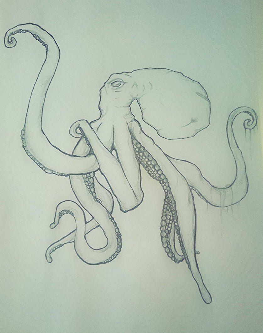 TheFalserose's tweet photo. A drawing i did, he's namn is Sir Lancelot! #Octopus http://t.co/fe8lg3dsiO