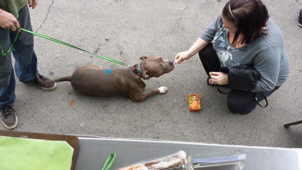 Dodger loves his acorn treat!