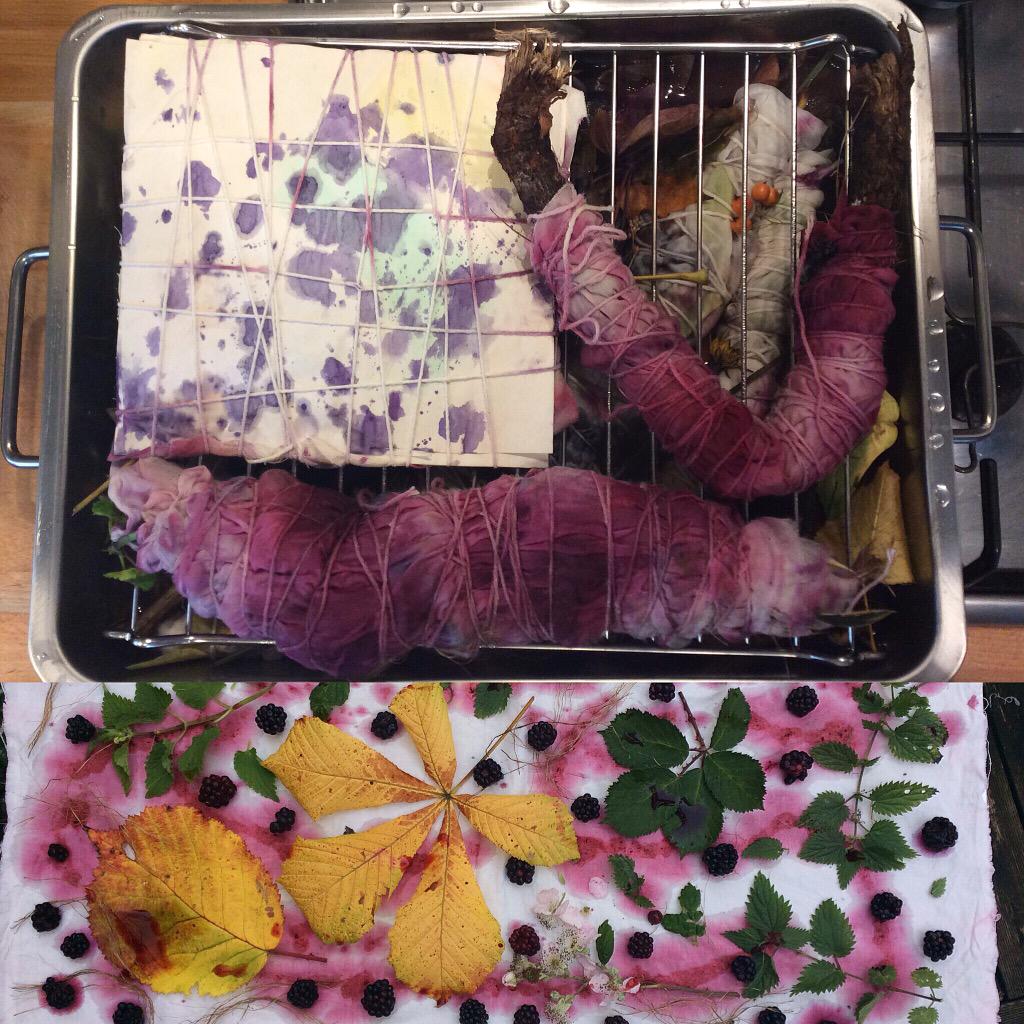 MichMixedMedia's tweet photo. Somethings cooking #textileart #FiberArt #ecoprint #ecodye #naturaldyeing #blackberrydye #rustdye http://t.co/9Ih7IqP0qr