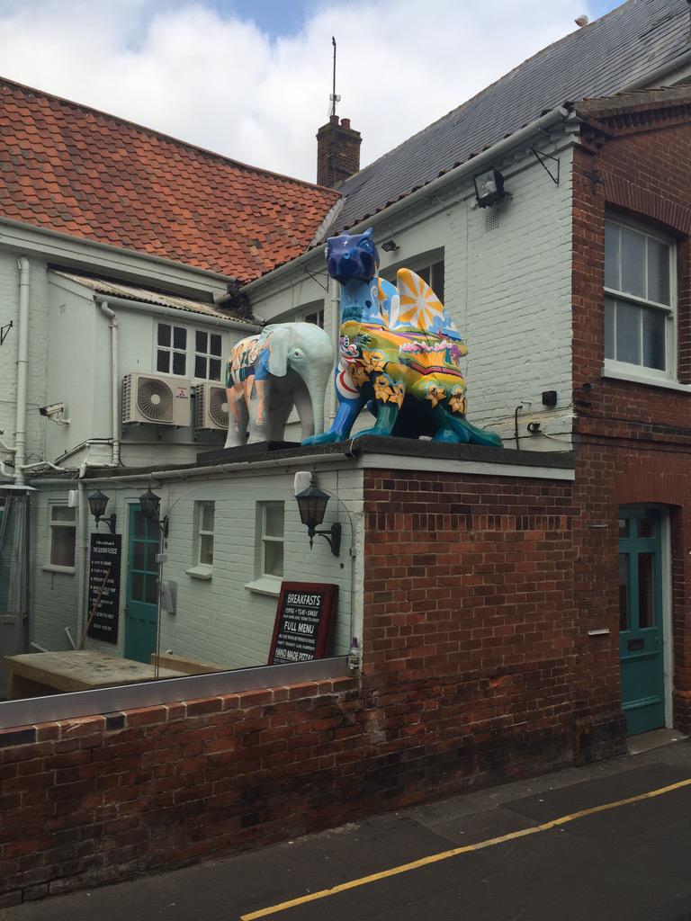 Izzy Tabrett tweet media