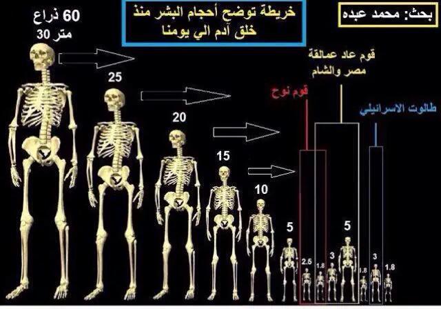 طول ادم