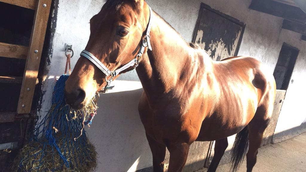 StaceyMarie_x's tweet image. This girl though 👌🏻 thank you so much for today @Faye_Lawrenson 💜 #poorbum