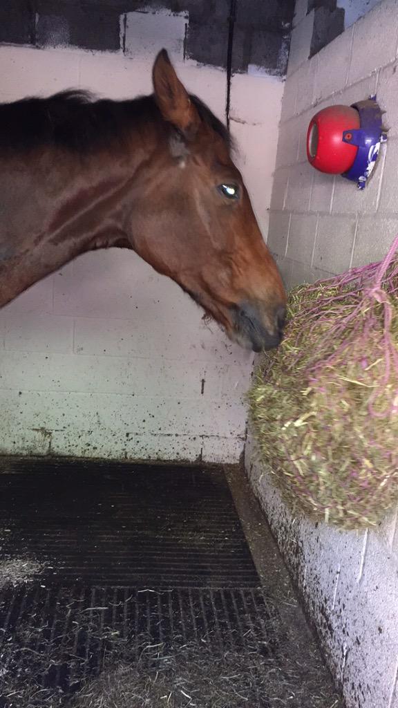 StaceyMarie_x's tweet image. This girl though 👌🏻 thank you so much for today @Faye_Lawrenson 💜 #poorbum