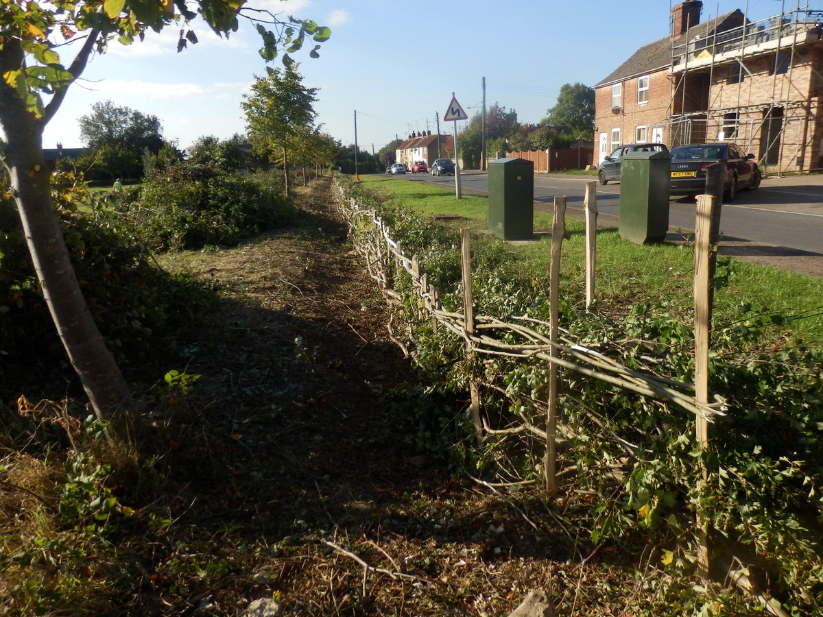 All 80m of Hedge in Watlington community green now laid! Thanks @WREN_news for funding! coppicecrafts.blogspot.com