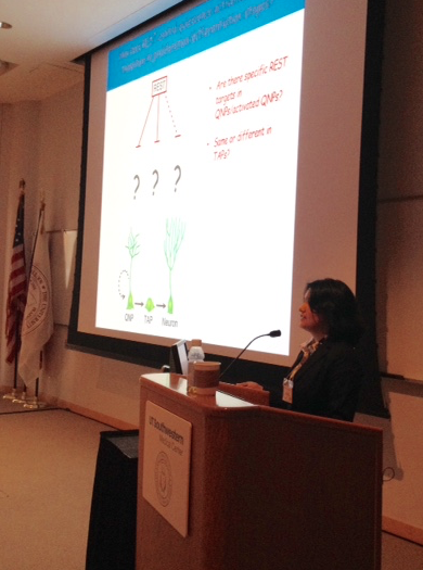 SDB_SW_Meet2015's tweet photo. Shradha Mukherjee (postdoc in Hsieh lab, UTSW) identifies REST targets in adult neural stem cells #SWSDB2015 http://t.co/UQ695oiEkC