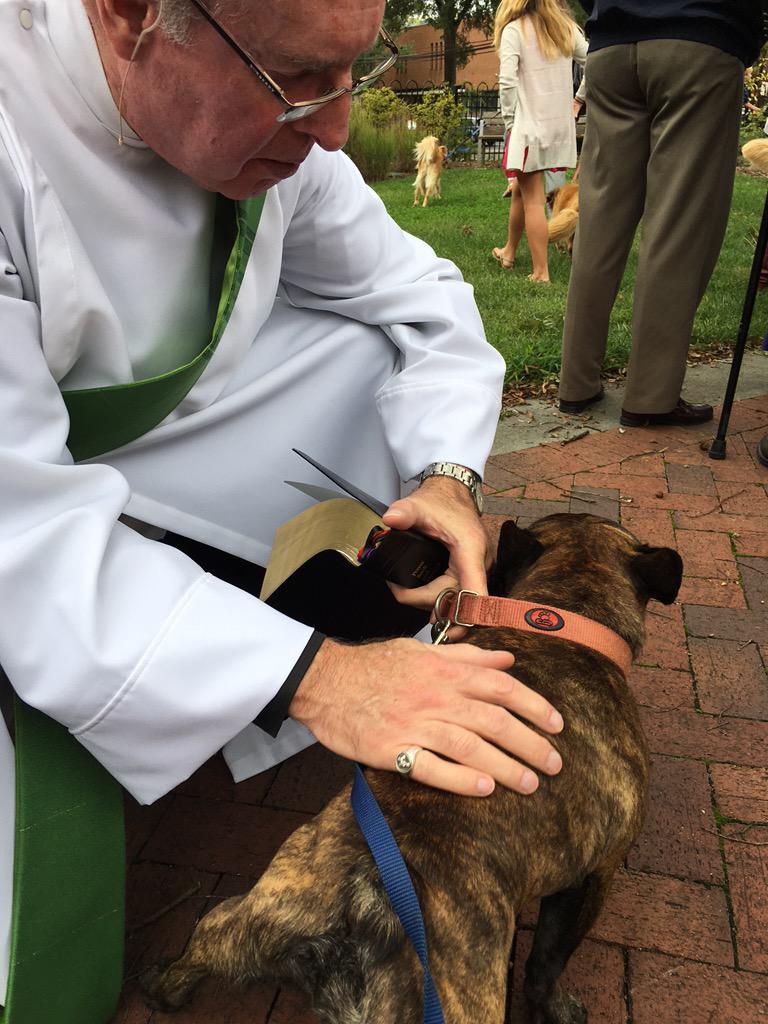 stmartinsclt's tweet photo. Share you photos from Blessing of the Pets! #stmblessingofthepets http://t.co/0fJua3Z5WN