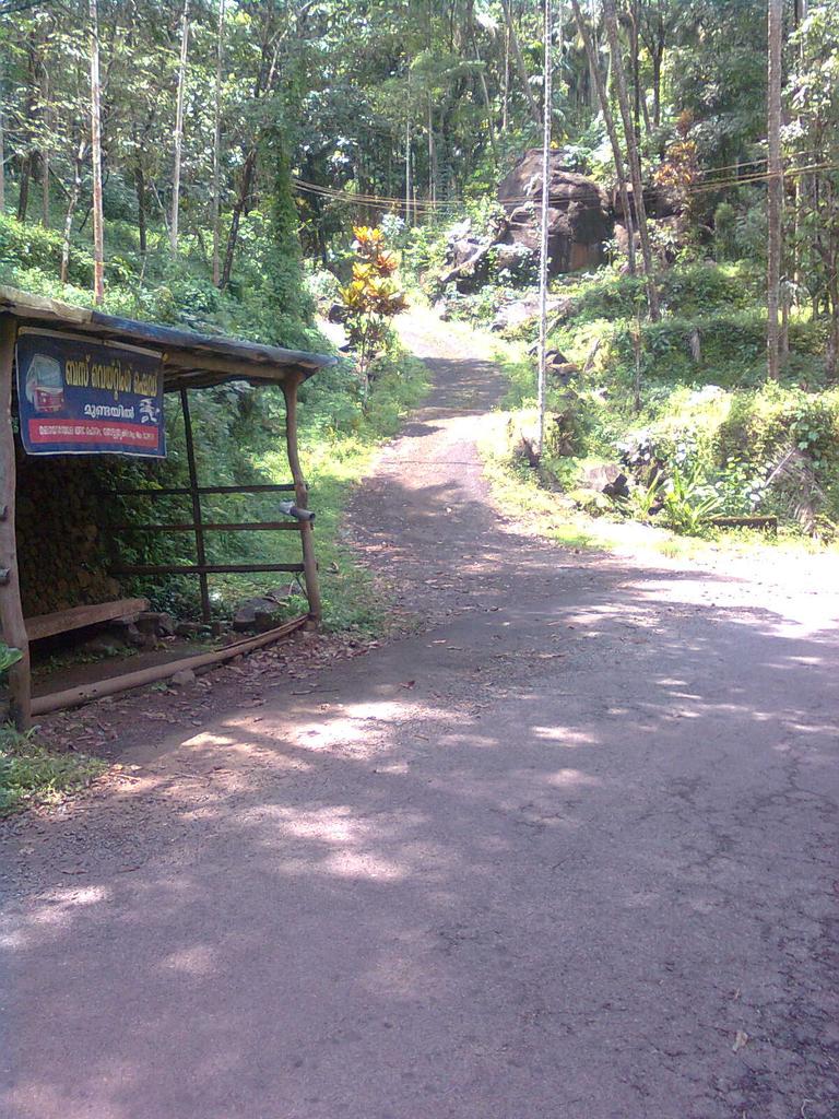 malayora's tweet photo. What a lovely place :Thottumukkam-Mukkam-Kozhikode Route http://t.co/R7T50bJ6m3