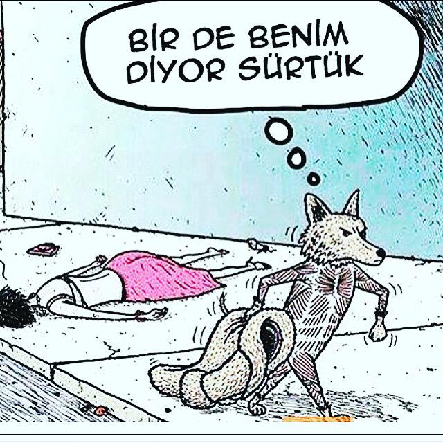 ozlembalciresmi's tweet photo. 4 Ekim Sadık dostlarımızın günü😻😻😻 #WorldAnimalDay http://t.co/yzlDvvXEOr