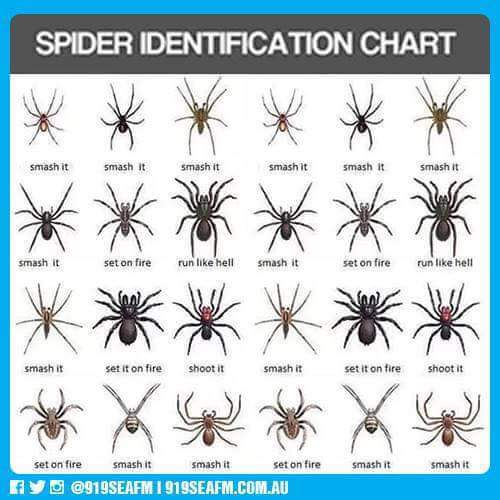 stephenpduff's tweet photo. That time of year again #heebiejeebies http://t.co/DBpcmsyLFP