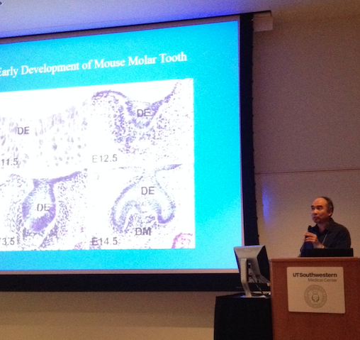 SDB_SW_Meet2015's tweet photo. Dr. YiPing Chen (Tulane) talks about BMP signaling during craniofacial and tooth development in mouse. http://t.co/2k4aK3d90V