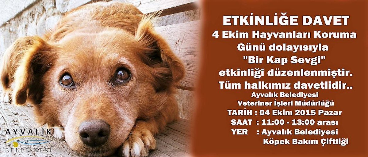 Ayvalık Belediyesi'ne teşekkürler <a href="/AYVALIKBELEDIYE/">Ayvalık Belediyesi</a>