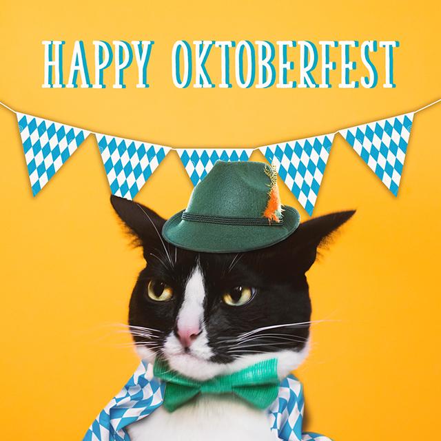 meowmix's tweet photo. Prost, Katzen. Happy Oktoberfest! #CheersCat http://t.co/qRPXlC2bjF