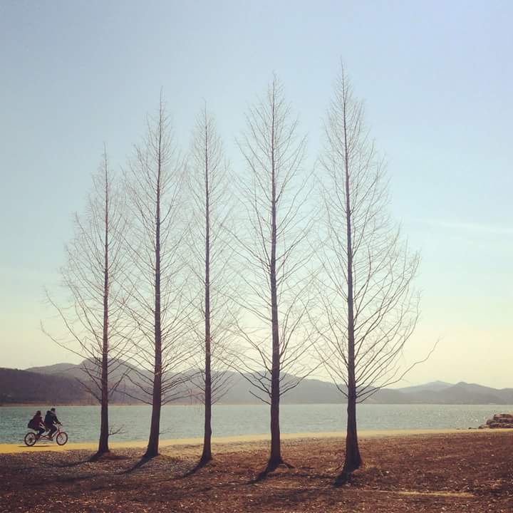 Bugun yo'lga chiqamiz dadil va bardam,
Hayot kurashlardan iborat har dam! K/f
"Tezlik -3"