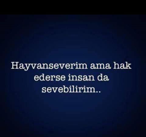 remihan_'s tweet photo. #WorldAnimalDay #Hayvanseverim http://t.co/OzoZJYtczQ