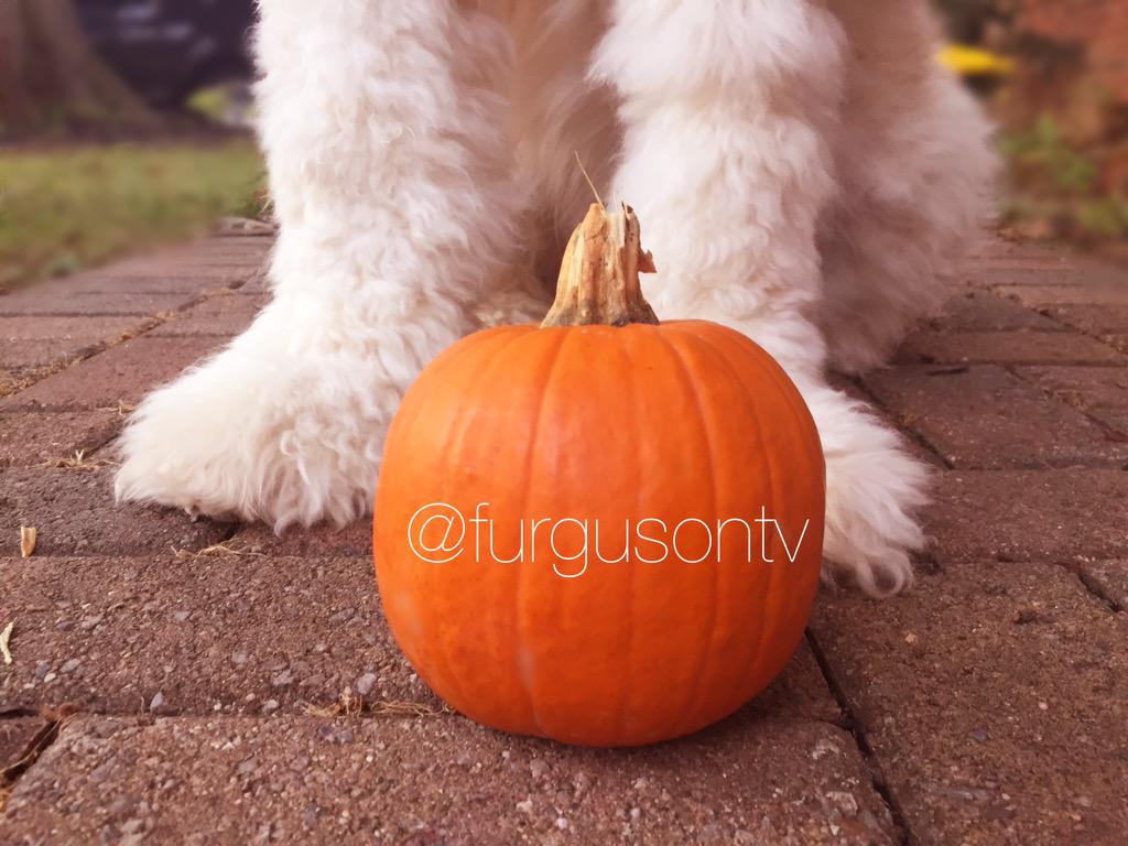 Fall is in the air!!!🎃