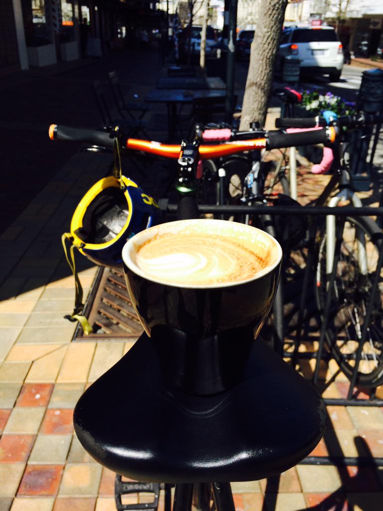 Ashley Manson tweet media