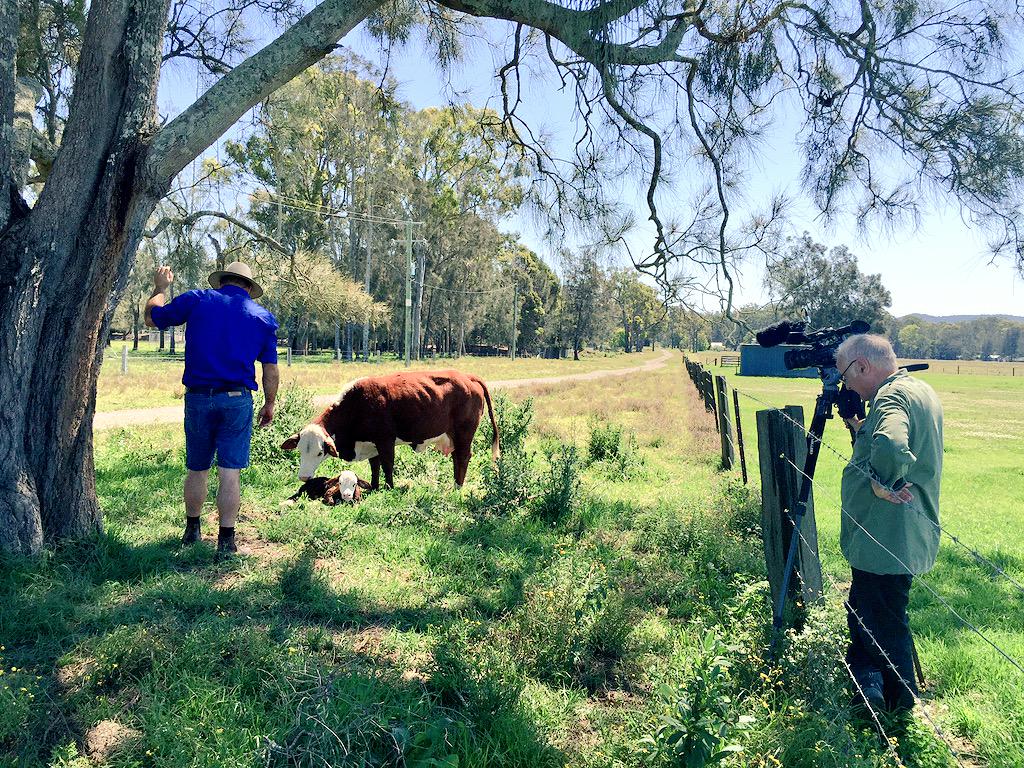 Joshua Gilbert tweet media