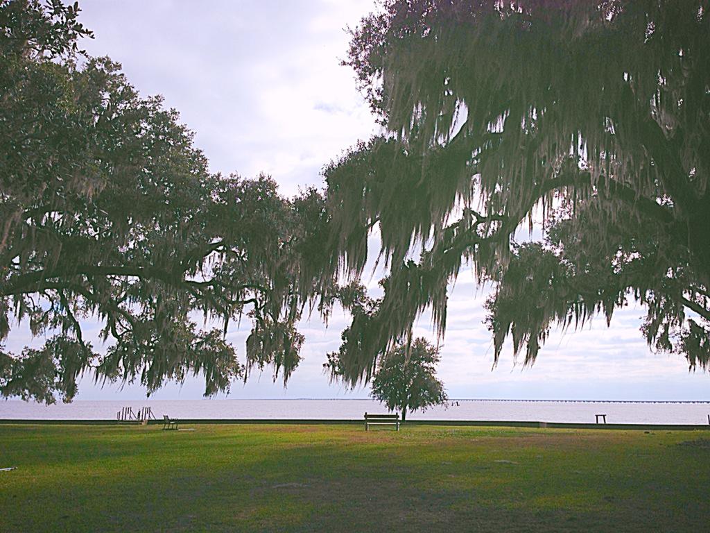 kellicross216's tweet photo. Such a beautiful day on the Mandeville lakefront http://t.co/8pihc6yM12