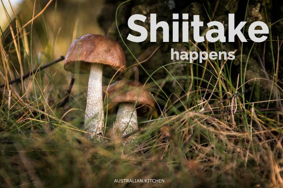 auskitch's tweet photo. Celebrating that humble yet delectable all-round star, the mushroom http://t.co/Vkwm13NV3v #foodie #kitchen #humour http://t.co/oHnTOr1p4z