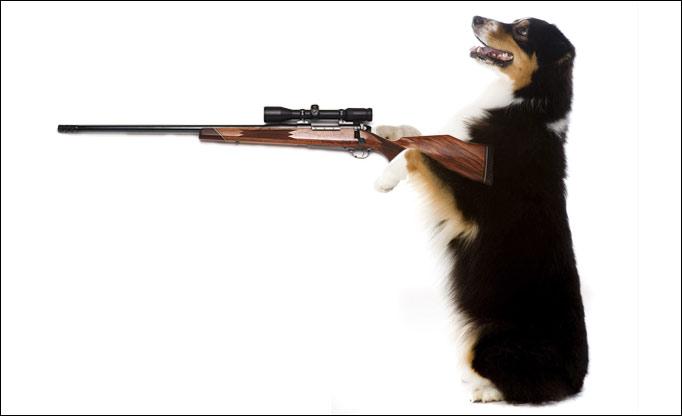 Kegsy_'s tweet photo. if the next CoD has exo suits that look like animals wanna bet that this will be dimms http://t.co/GEPMB8G67t