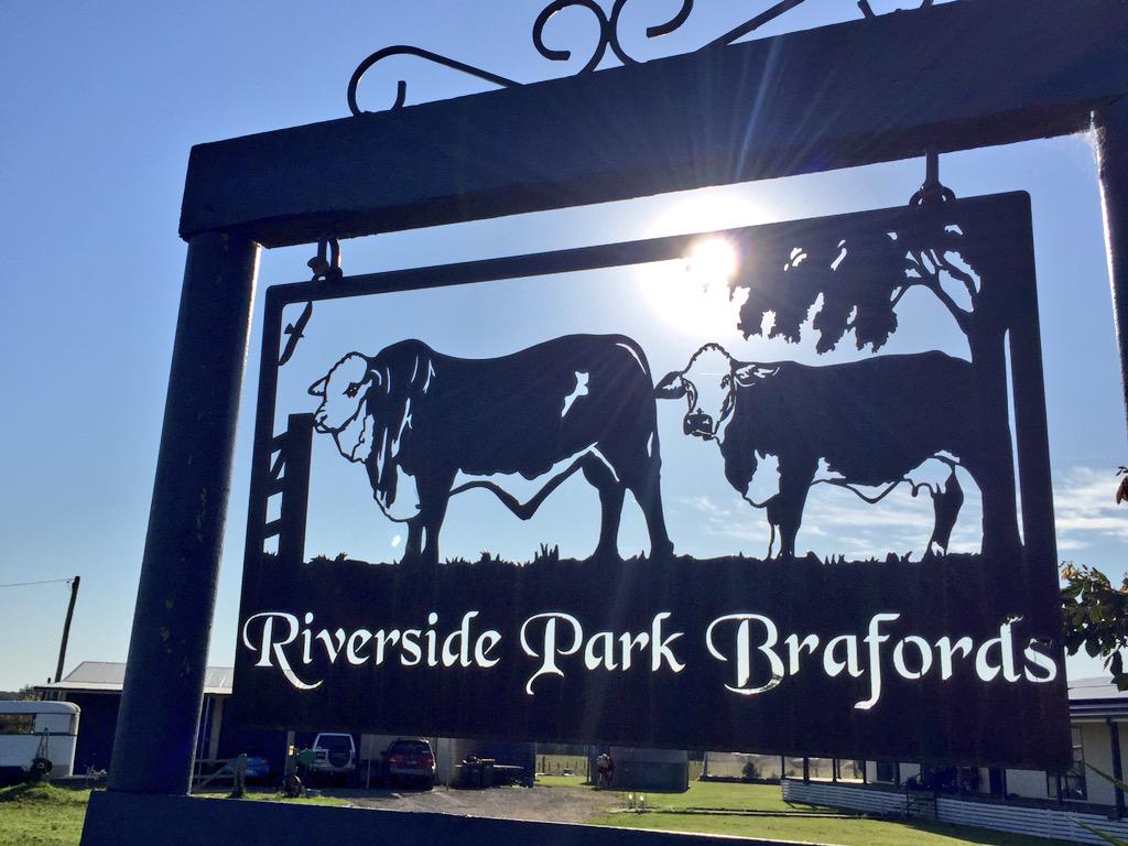 Joshua Gilbert tweet media