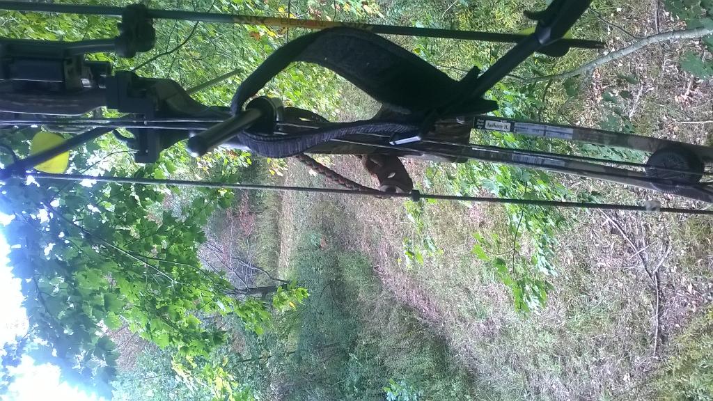 tilormathieu1's tweet photo. That time of year 👍  #BowHuting http://t.co/Q5IQ9A36dC