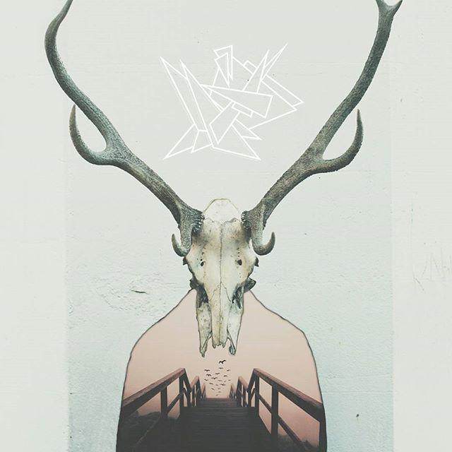 Effextures's tweet photo. Featured image by @praketh.in Caption: "Morbid fascinations _ Resources - #unsplash @unsplash, #effextures @josephbr… http://t.co/0JWUbjWscA