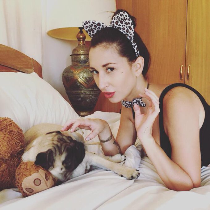 Meow http://t.co/gQwh4VPlkX<a href="/tag/vanstyles"class="tags"><span>#vanstyles</span></a>