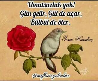 EaSahide's tweet photo. Ne feryat edersin bülbül
https://t.co/KJiZ4jAR4n http://t.co/JzVkMcWPvN