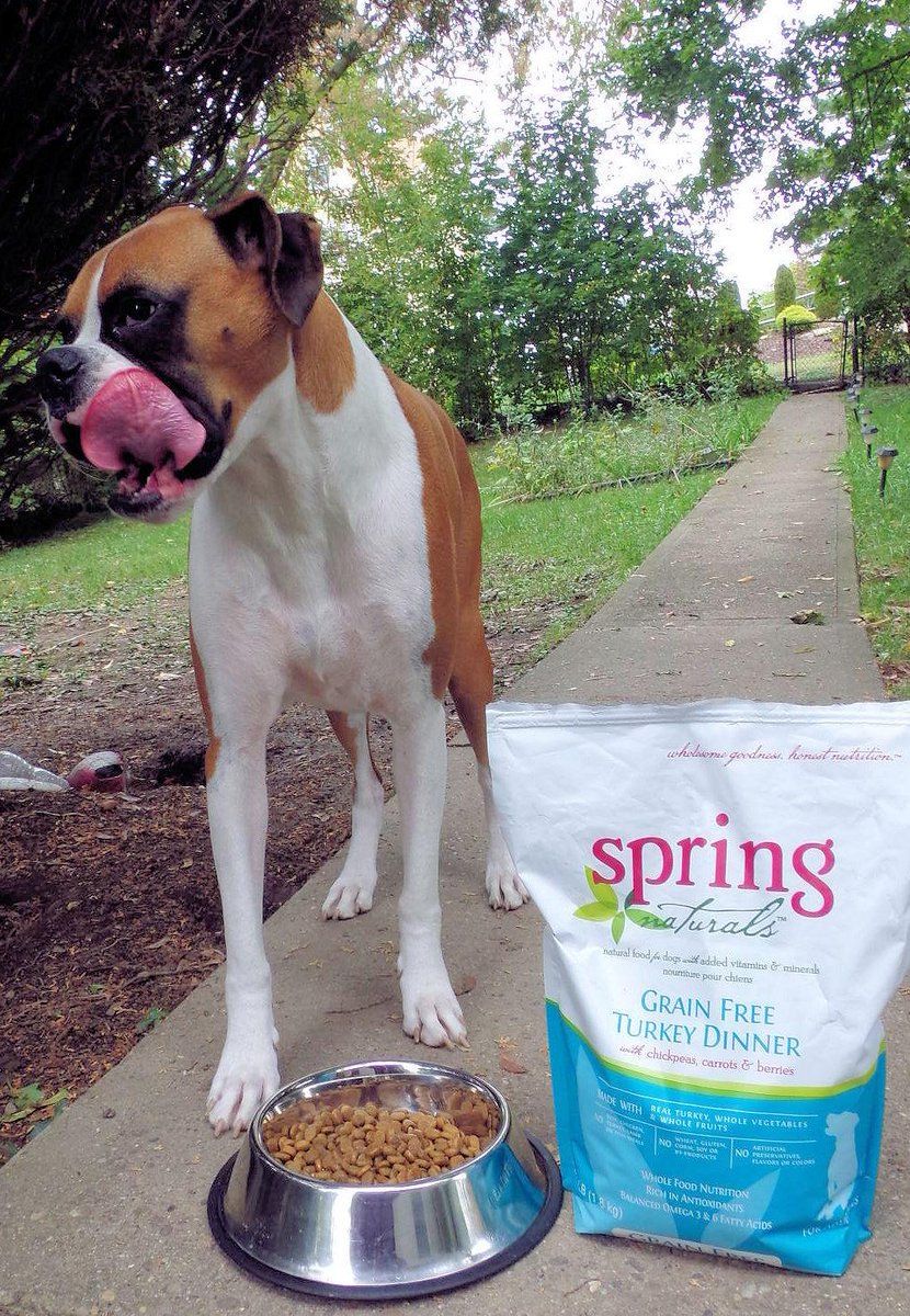 doggiemadness's tweet image. Had a complete balanced #grainfree Turkey Dinner w chickpeas carrots &amp;amp; berries review &amp;amp; #contest soon @SpringNaturals