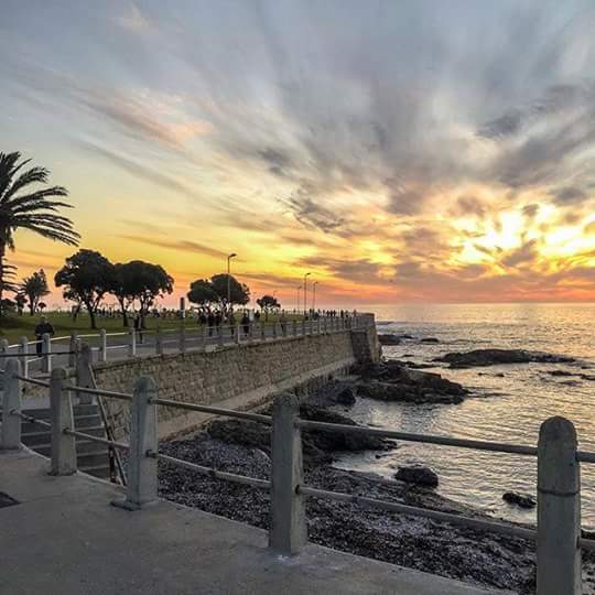 TREKTOURS1's tweet photo. TREK TOURS 
#capetown #privatecharter #summer #capetoursim #capetours #scenicview 
@TREKTOURS1 
Trektours1@gmail.com http://t.co/TbRzu3FPkC