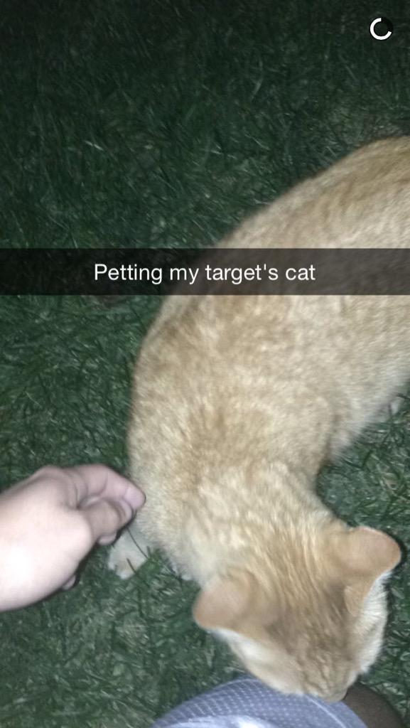 madisoncline04's tweet photo. @MeeksDerek you pet my cat you traitor😔 http://t.co/PHsSSWcu3b