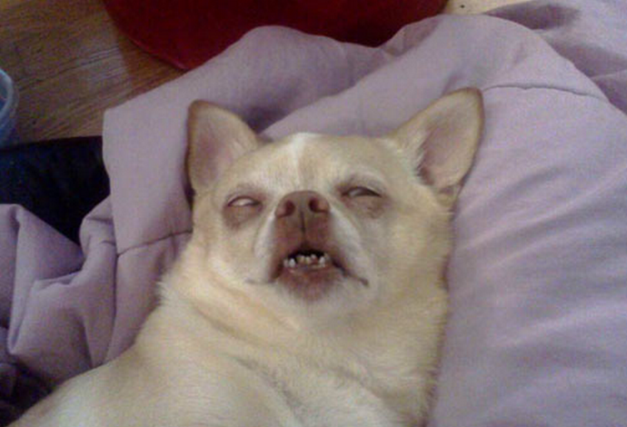 Every Monday when the alarm clock goes off