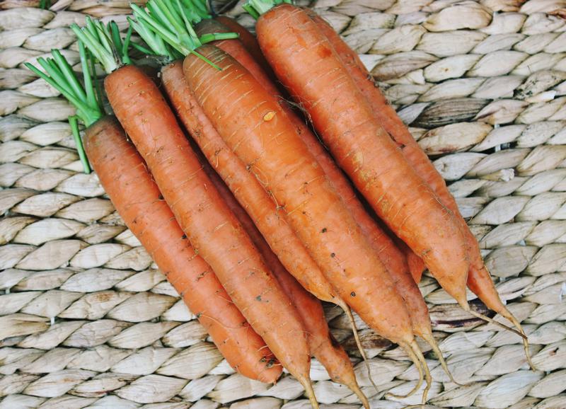 LokalnyRolnikpl's tweet image. #Marchew to jest jednak morze niespodzianek. @codogara @SzybkoTanioSmac, zgadnijcie jakich :)
lokalnyrolnik.pl/blog/?p=928&amp;amp;pr…