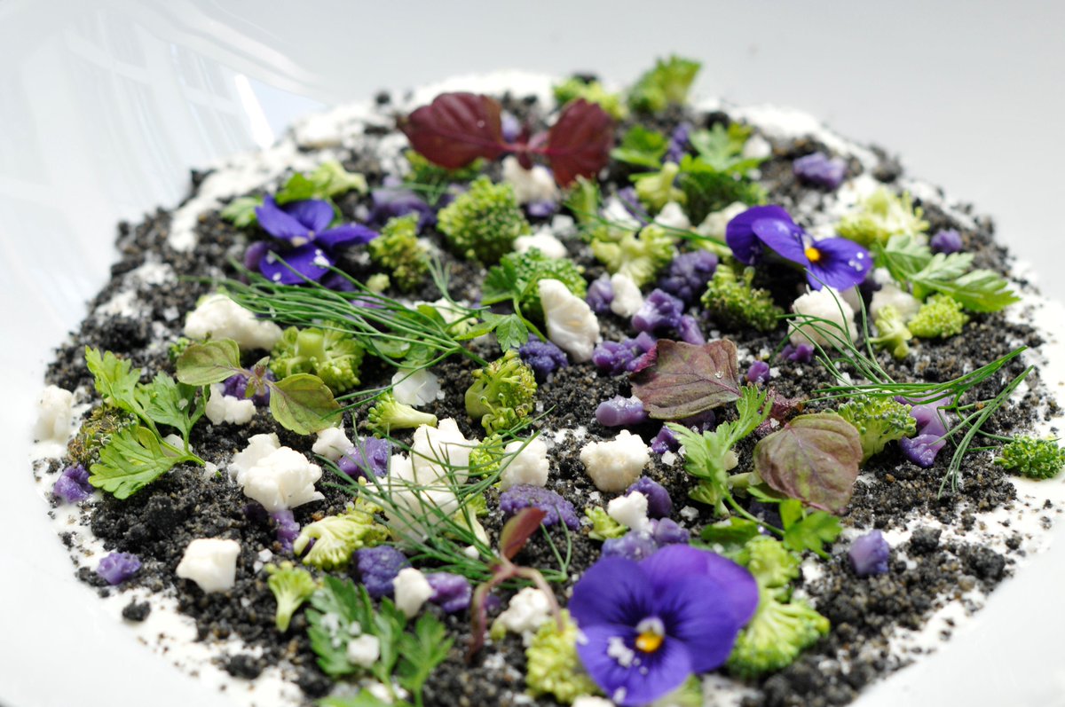 le5codet's tweet photo. Crème de chou fleur #restaurant #le5codet http://t.co/p9RwkdJCjA