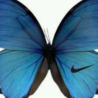 DavidModise8 tweet picture