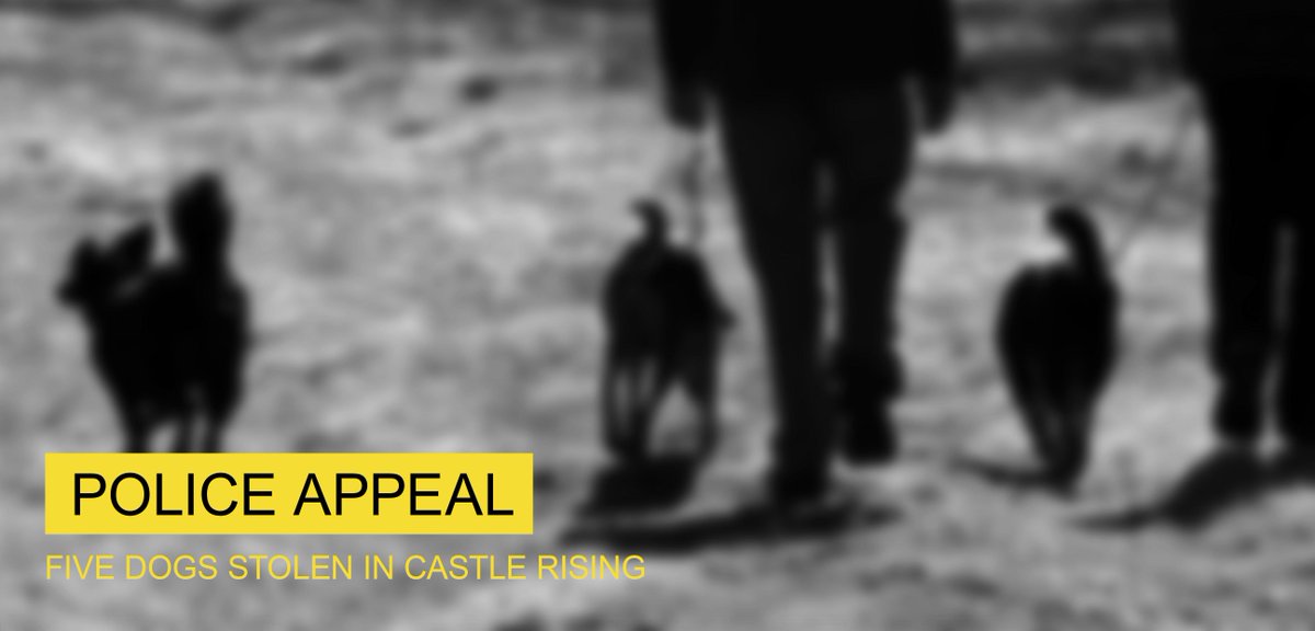 NorfolkPolice's tweet image. Police appeal for witnesses after five dogs were stolen in #CastleRising - ow.ly/T0X9x #StolenDogs