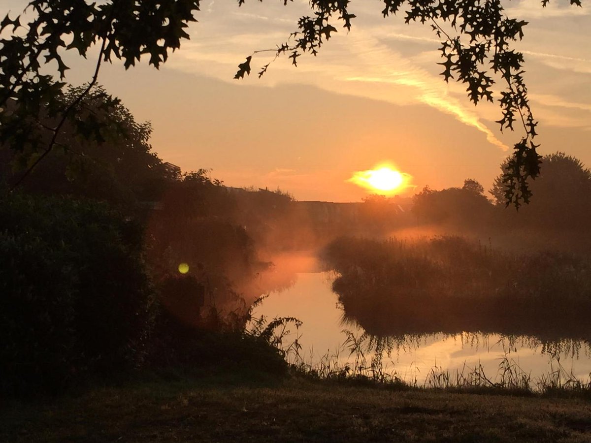 ROrdeman's tweet image. #funtorun