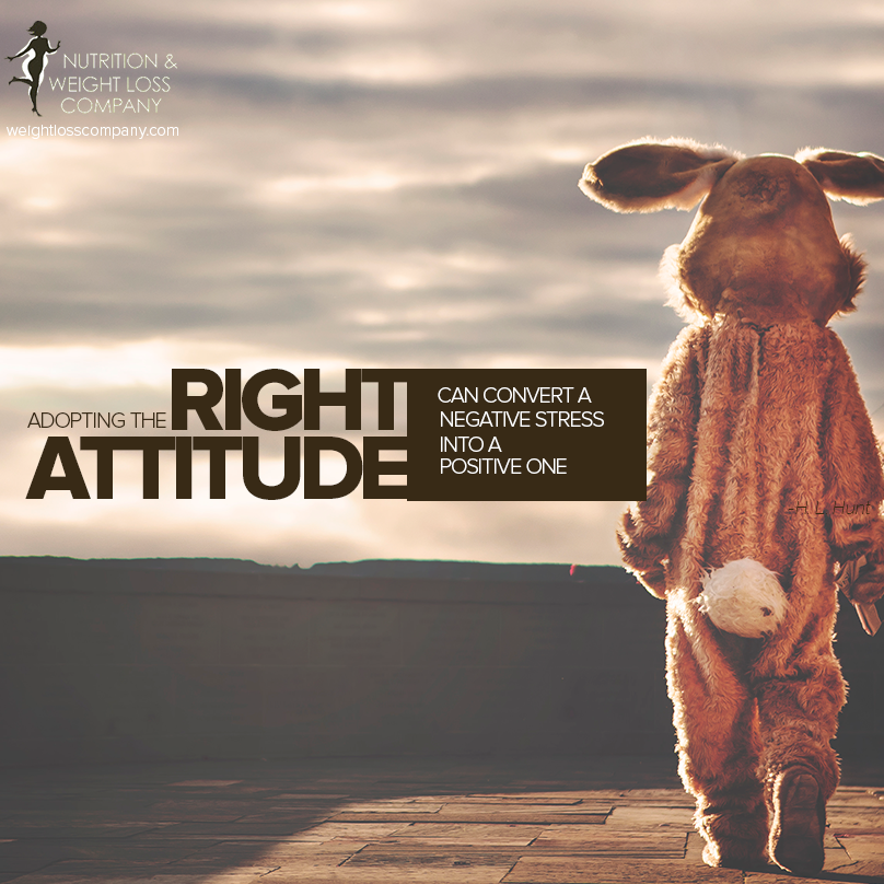 NWLC (@nandwlc) on Twitter photo 