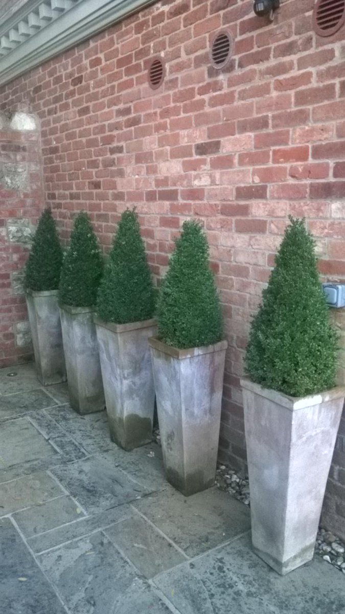 The Style Academy tweet media