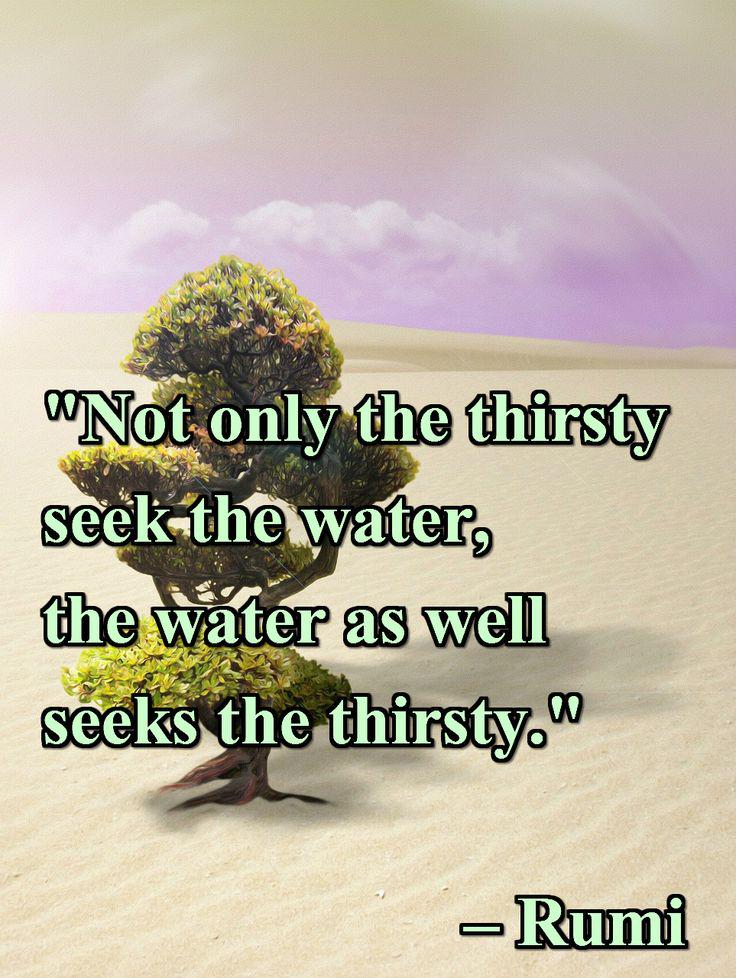 AppCrystal's tweet image. Words of wisdom by Rumi #water #orgone #energy #healing #CrystalHeart