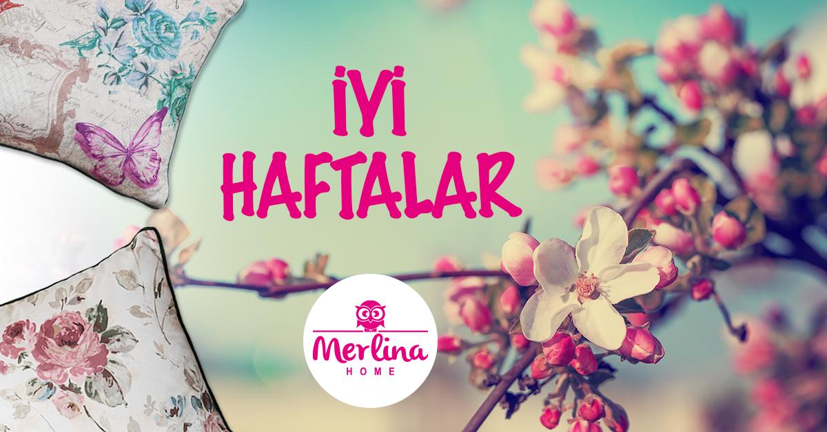 HomeMerlina's tweet photo. Pazartesi günü yatağından ayrılmakta zorluk çeken ve güne çoktan başlayan herkese günaydın.#happymonday #GoodMorning http://t.co/wdH7uDOqbx